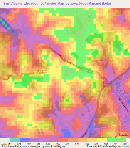 San Vicente,Argentina Elevation Map
