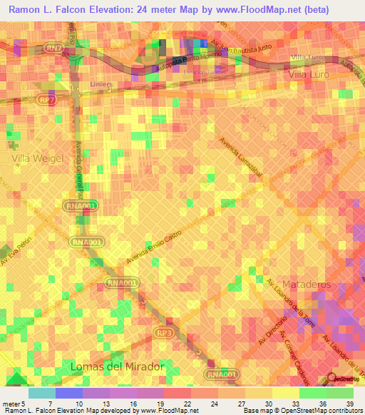 Ramon L. Falcon,Argentina Elevation Map