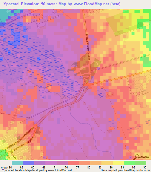Ypacarai,Paraguay Elevation Map