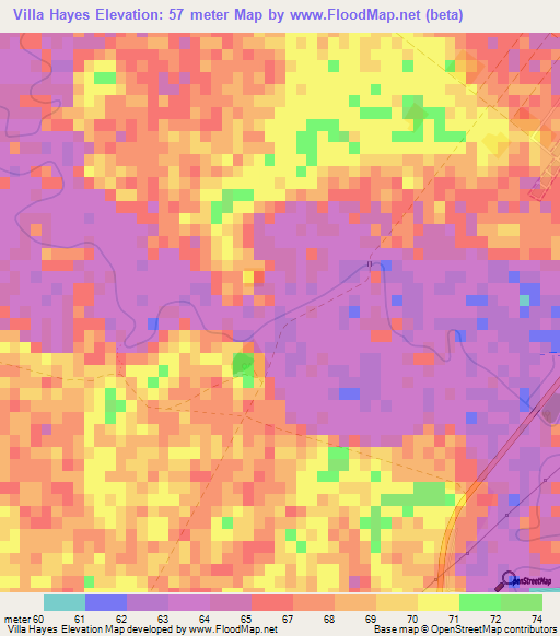 Villa Hayes,Paraguay Elevation Map