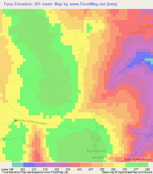 Tuna,Paraguay Elevation Map