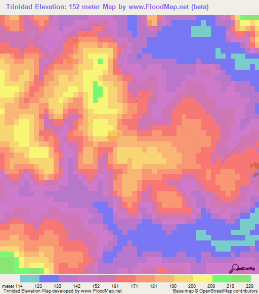 Trinidad,Paraguay Elevation Map