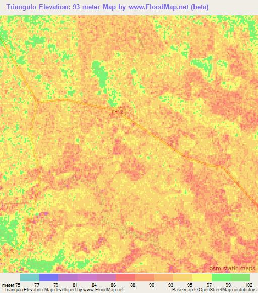 Triangulo,Paraguay Elevation Map