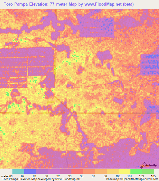 Toro Pampa,Paraguay Elevation Map