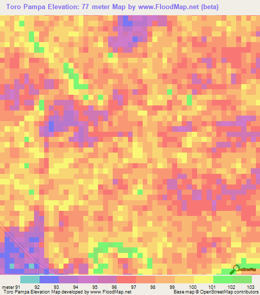 Toro Pampa,Paraguay Elevation Map