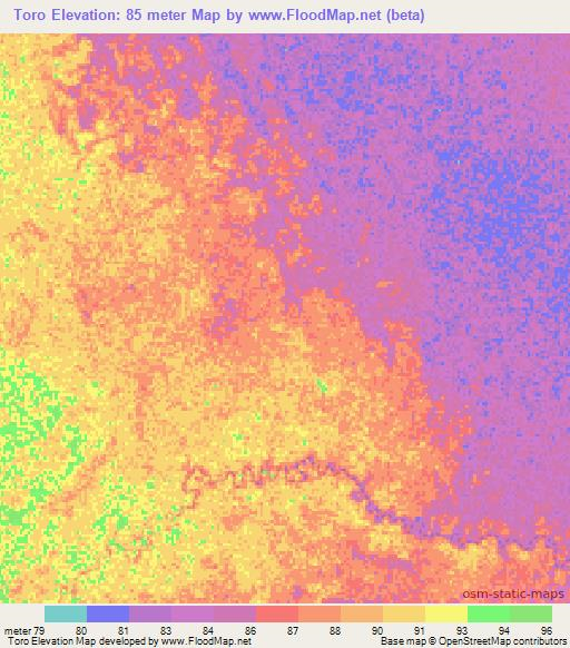 Toro,Paraguay Elevation Map