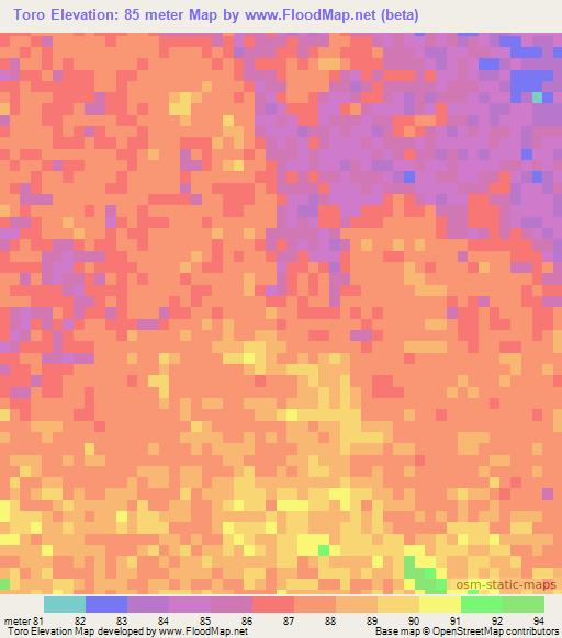 Toro,Paraguay Elevation Map