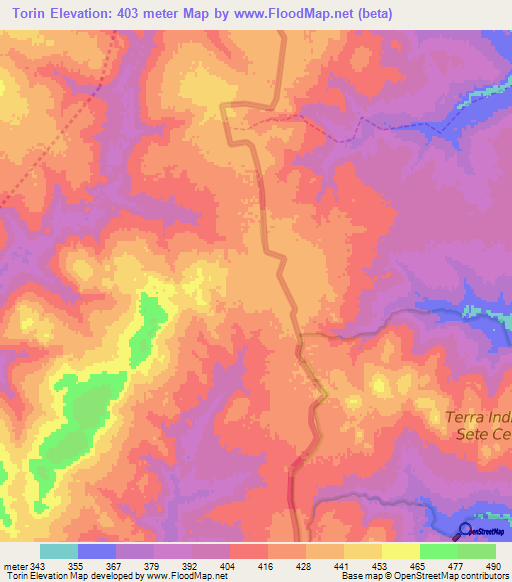 Torin,Paraguay Elevation Map