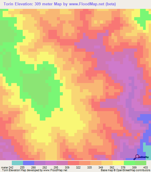 Torin,Paraguay Elevation Map