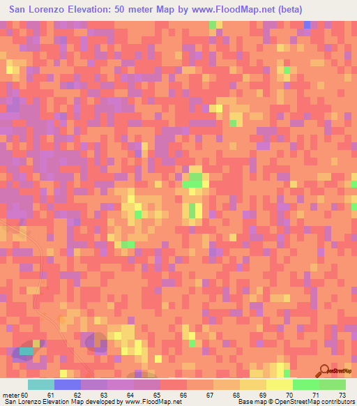 San Lorenzo,Paraguay Elevation Map