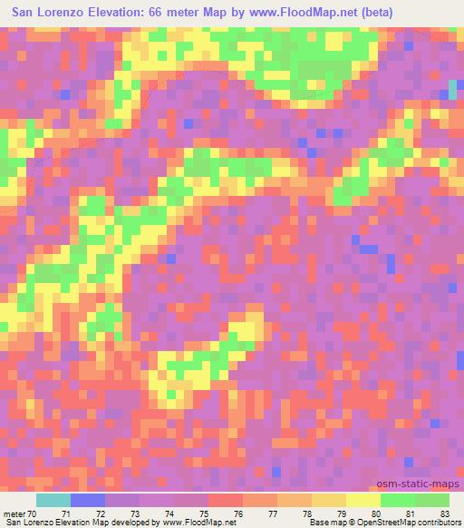 San Lorenzo,Paraguay Elevation Map