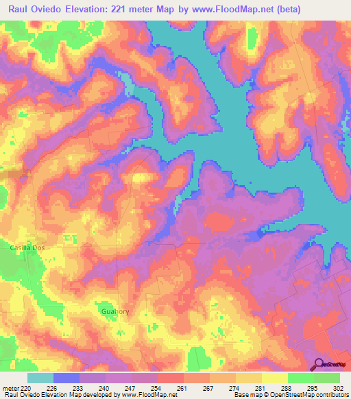 Raul Oviedo,Paraguay Elevation Map
