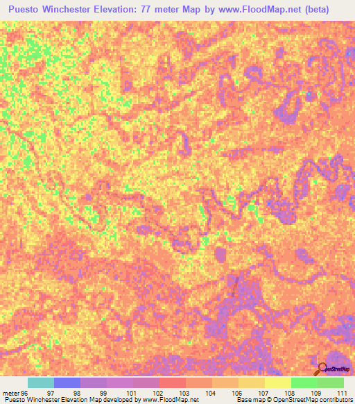 Puesto Winchester,Paraguay Elevation Map