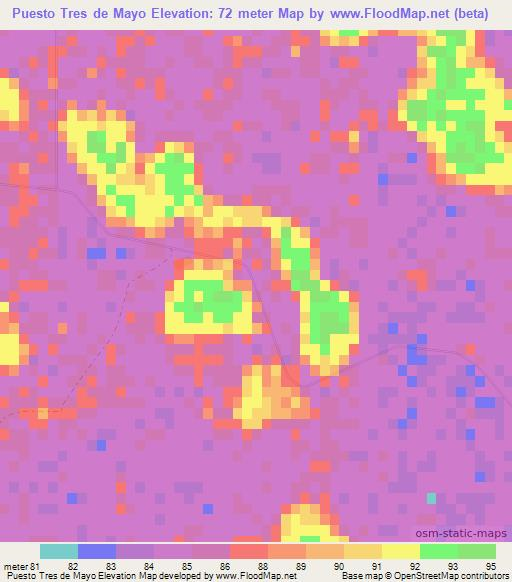 Puesto Tres de Mayo,Paraguay Elevation Map