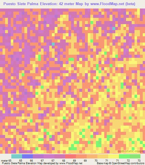 Puesto Siete Palma,Paraguay Elevation Map