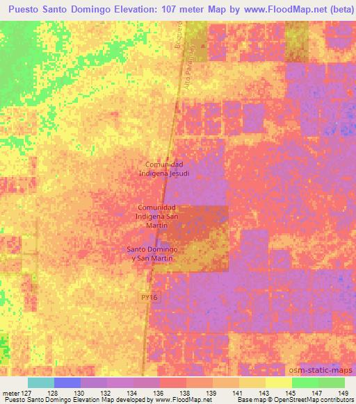 Puesto Santo Domingo,Paraguay Elevation Map