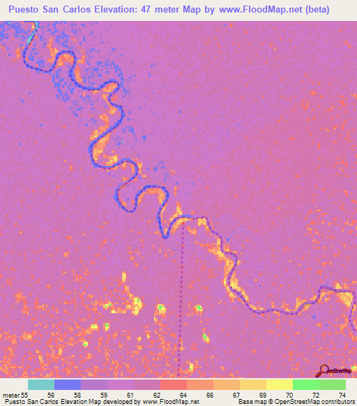 Puesto San Carlos,Paraguay Elevation Map