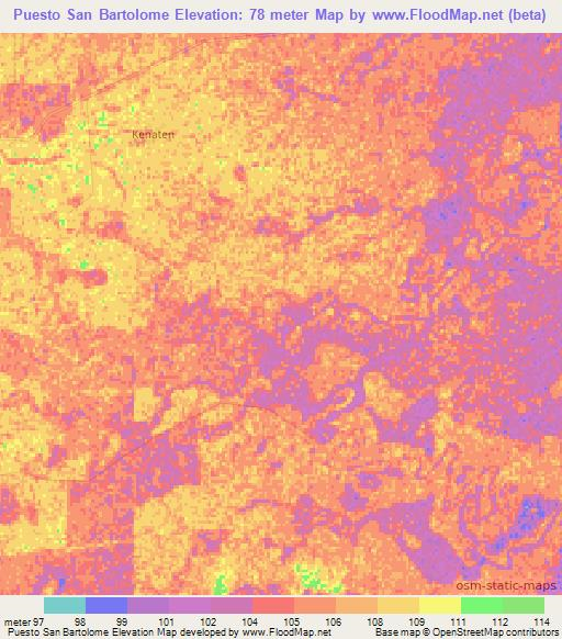 Puesto San Bartolome,Paraguay Elevation Map