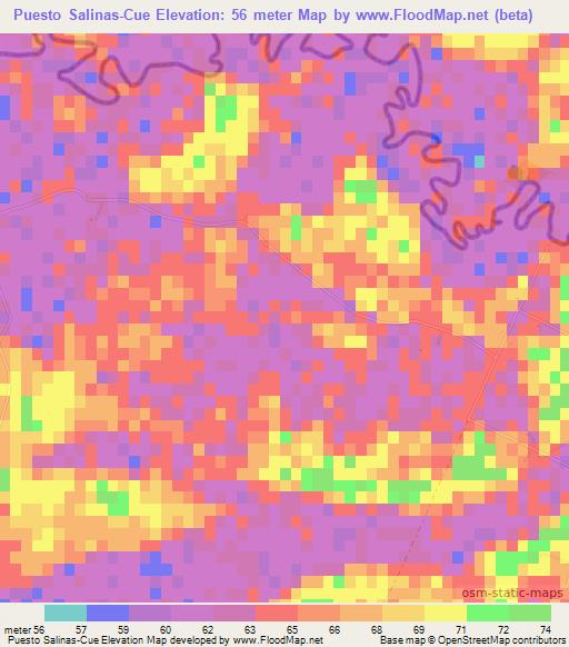 Puesto Salinas-Cue,Paraguay Elevation Map
