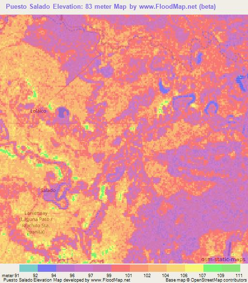 Puesto Salado,Paraguay Elevation Map