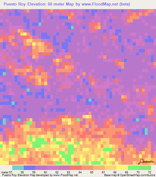 Puesto Roy,Paraguay Elevation Map