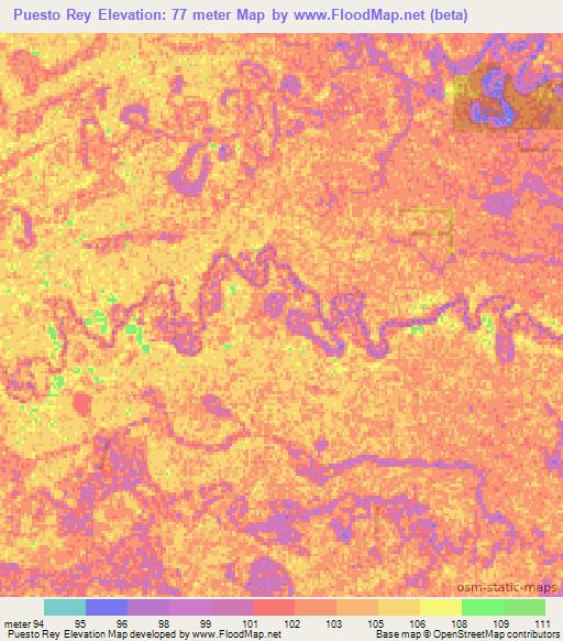 Puesto Rey,Paraguay Elevation Map