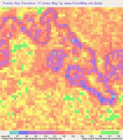 Puesto Rey,Paraguay Elevation Map