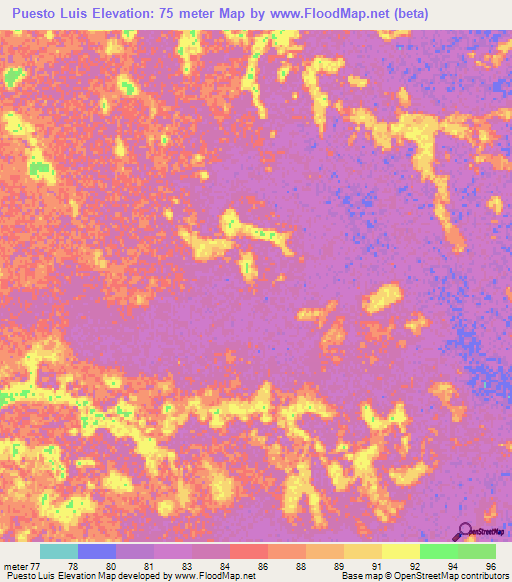 Puesto Luis,Paraguay Elevation Map