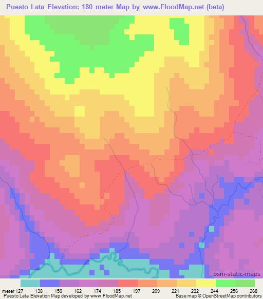 Puesto Lata,Paraguay Elevation Map
