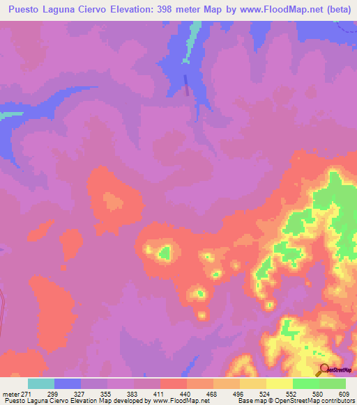 Puesto Laguna Ciervo,Paraguay Elevation Map