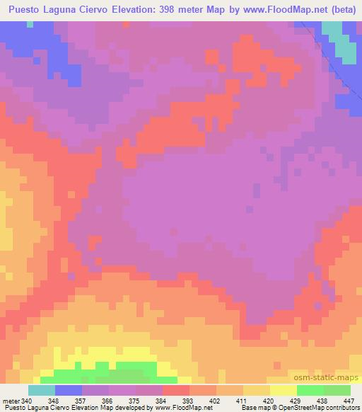 Puesto Laguna Ciervo,Paraguay Elevation Map