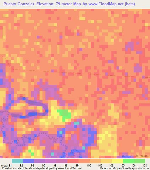 Puesto Gonzalez,Paraguay Elevation Map