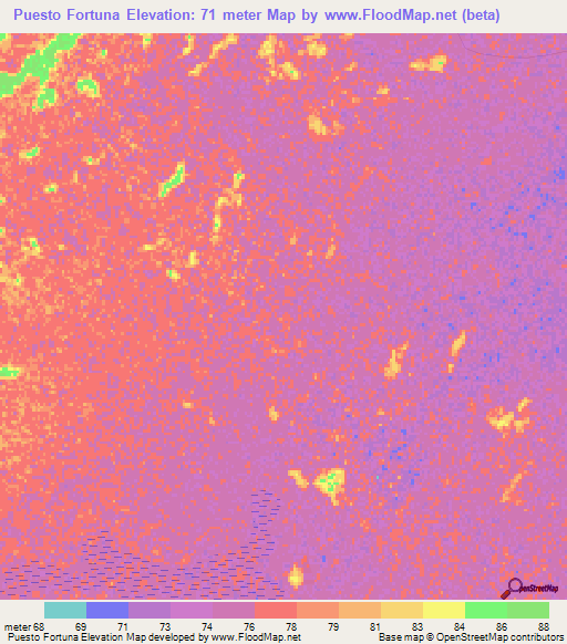 Puesto Fortuna,Paraguay Elevation Map