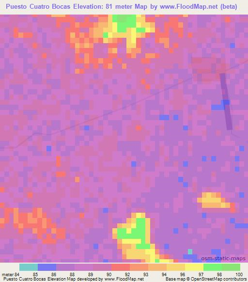 Puesto Cuatro Bocas,Paraguay Elevation Map