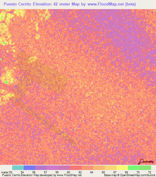 Puesto Cerrito,Paraguay Elevation Map