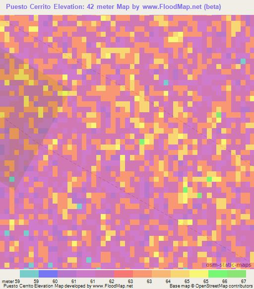 Puesto Cerrito,Paraguay Elevation Map