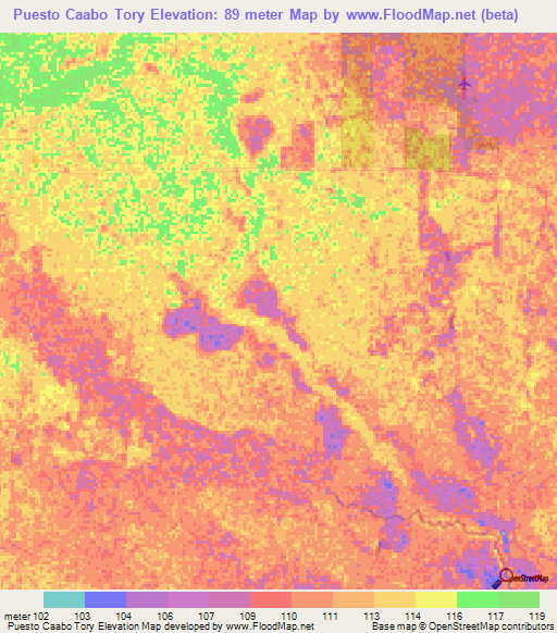 Puesto Caabo Tory,Paraguay Elevation Map