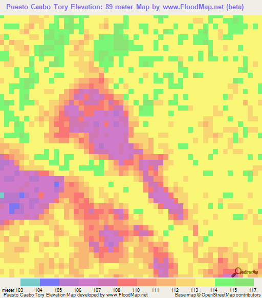 Puesto Caabo Tory,Paraguay Elevation Map
