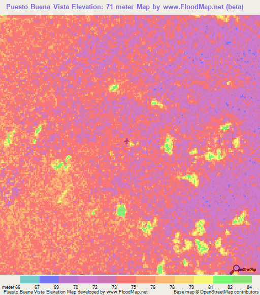 Puesto Buena Vista,Paraguay Elevation Map