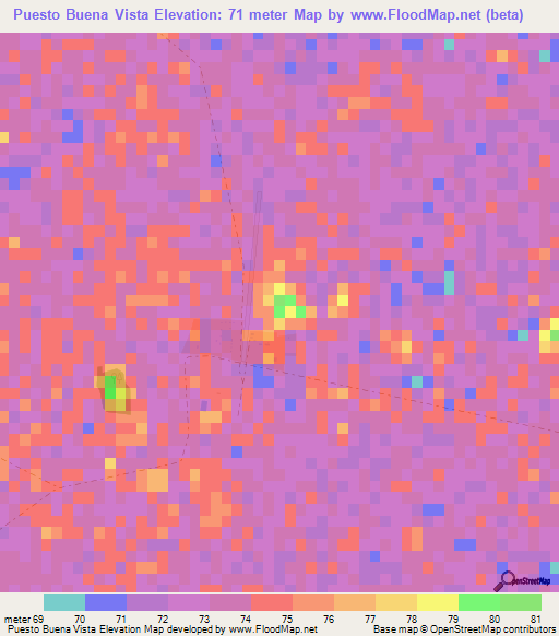 Puesto Buena Vista,Paraguay Elevation Map