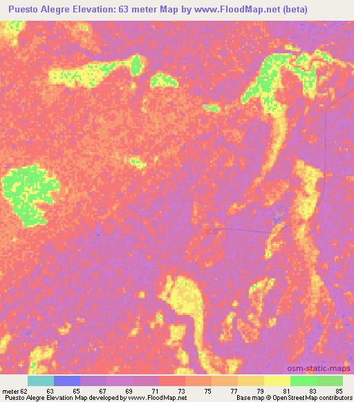 Puesto Alegre,Paraguay Elevation Map