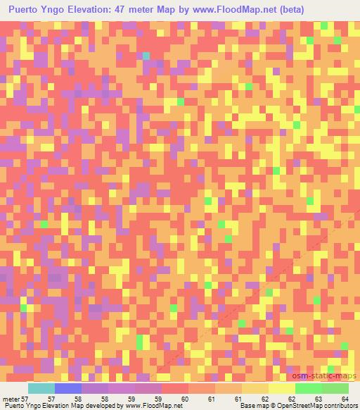 Puerto Yngo,Paraguay Elevation Map