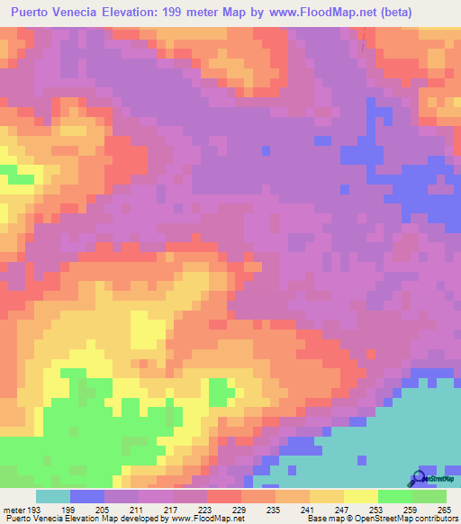 Puerto Venecia,Paraguay Elevation Map