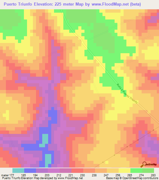 Puerto Triunfo,Paraguay Elevation Map
