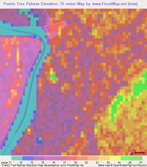Puerto Tres Palmas,Paraguay Elevation Map