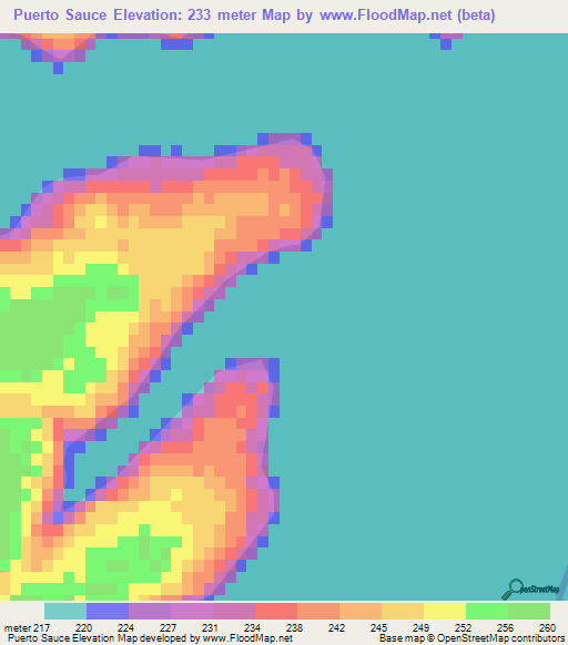 Puerto Sauce,Paraguay Elevation Map