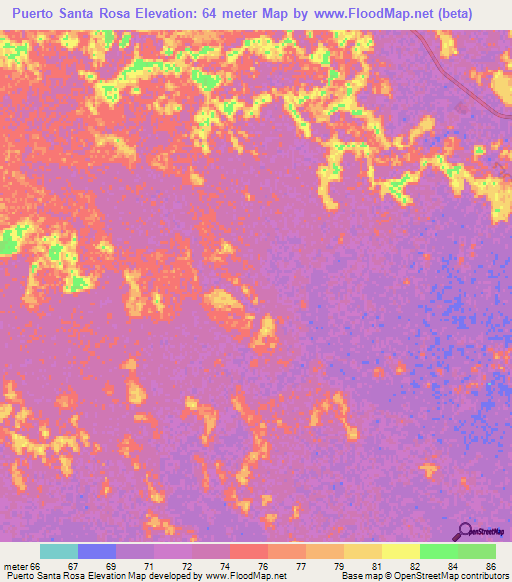 Puerto Santa Rosa,Paraguay Elevation Map