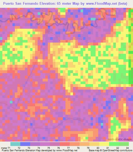 Puerto San Fernando,Paraguay Elevation Map