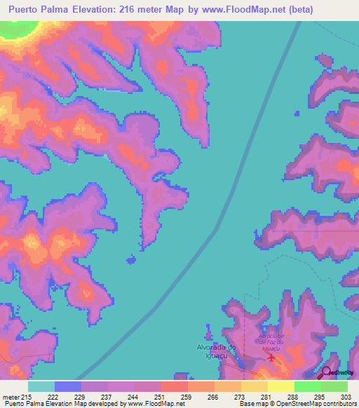 Puerto Palma,Paraguay Elevation Map
