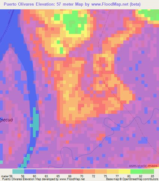 Puerto Olivares,Paraguay Elevation Map